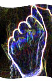 a freebie for freedom - a divination for wisconsin